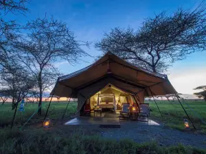 Serengeti Sametu Camp