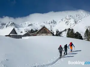 Alpenhotel & Aparthotel Lanz