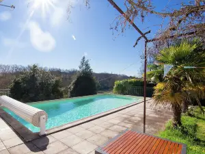 Warm Mansion with Swimming Pool in Sigoul s