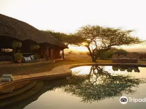 Elewana Lewa Safari Camp