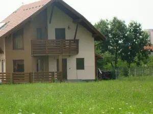 Colt de Rai