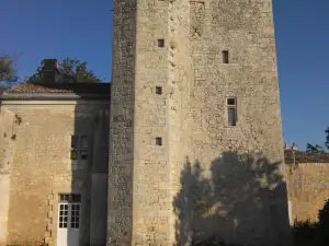 Chateau De Champdolent
