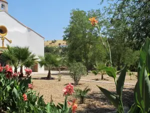Casa Las Torres