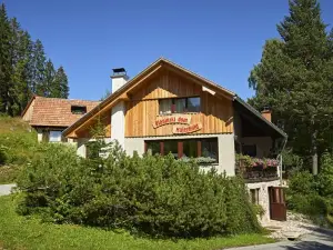 Guesthouse Planinski Dom Majerhold