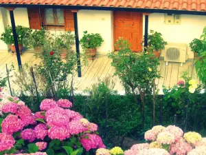 Dafni Apartments