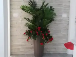 La Suite