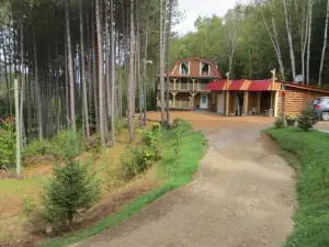 La Maison Sous les Arbres