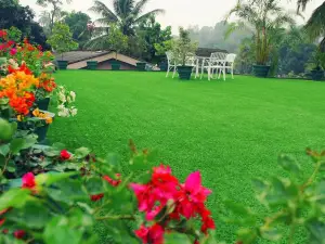 Organic Villa Kandy