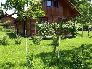 Tourist Farm Znidarjevi