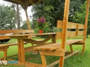 Urlaub Mit Alpakas