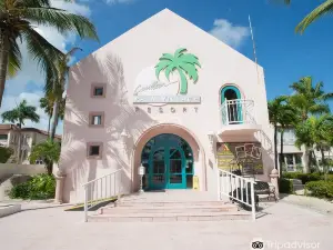 加勒比棕櫚村度假飯店