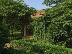 아라니악 리조트