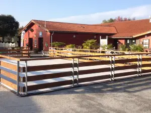 2 Grands Bungalows 3 ou 4ch - 2 à 10 Places - mh732 ou mh828 Proche océan