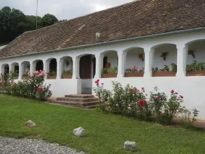 Berki Porta Vendeghaz