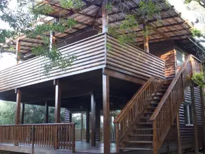 Mseni Beach Lodge
