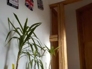 Ferienhaus Schock