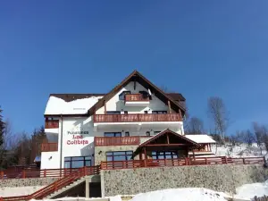 Pensiunea Lac Colibita