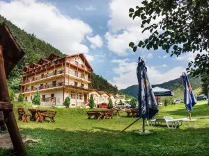 Pensiunea Alpin