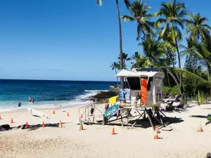 Kona Magic Honu Room