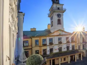 Apartament Cesarski