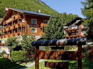 Park-Hotel Saas- Fee