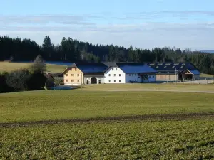 Espi-Stables Ferienhof Esterhammer
