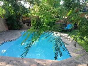 Rhino Coast Guesthouse