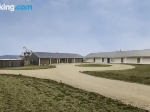 Manna Tree Farm - Modern 3Br House on 100 Acres l Mountain Views l WiFi l BBQ l Wood Fire