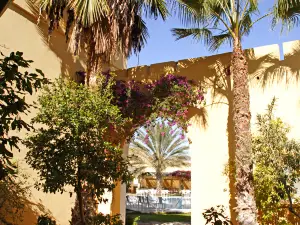 Sun Palm