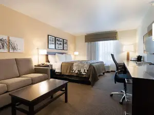 Sleep Inn & Suites Carlsbad Caverns Area