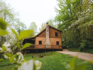 Dogwood - Hocking Hills