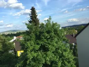Apartment Götterdämmerung