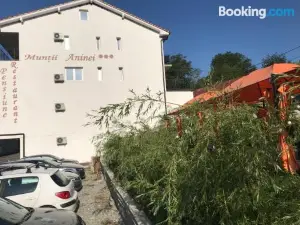 Pensiune Muntii Aninei