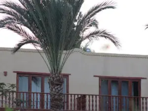 Kom El Dikka Agri Lodge