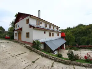 Pensiunea Tara