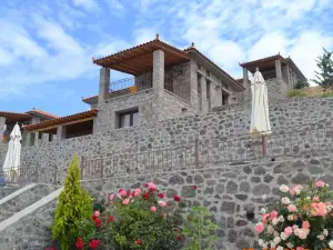 Villa Molivos Castle