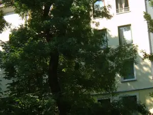 Park Vendeghaz
