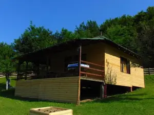 Forest Lodge on the Pyramid
