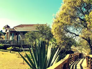 Mogodi Lodge