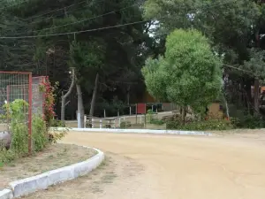Casas Isla Negra