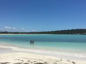 3 Bedroom Home Best Price Bayamon by Rentalspr