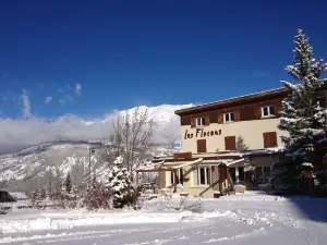 Hôtel les Flocons