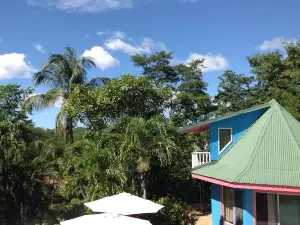 Hotel Tamarindo Village