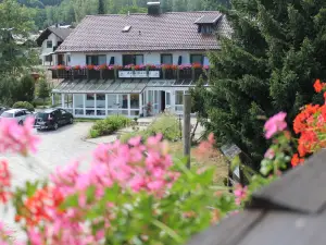 Hotel Schafflerhof