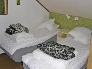 Gorgeous Home in Holsljunga