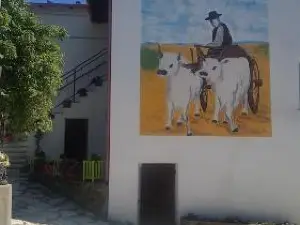 Fattoria la Cona