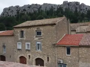 Le Patio Des Cigales