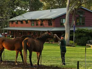 Bilpin Country Lodge