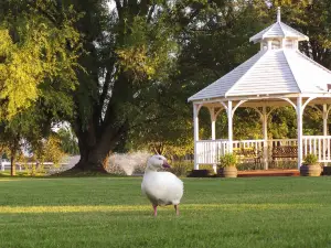 Parklands Resort Mudgee