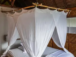 Casa Nemo Beach Resort & Spa